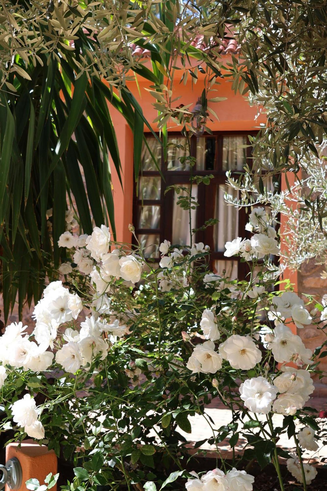 Domaine De La Roseraie Resort Ouirgane Esterno foto