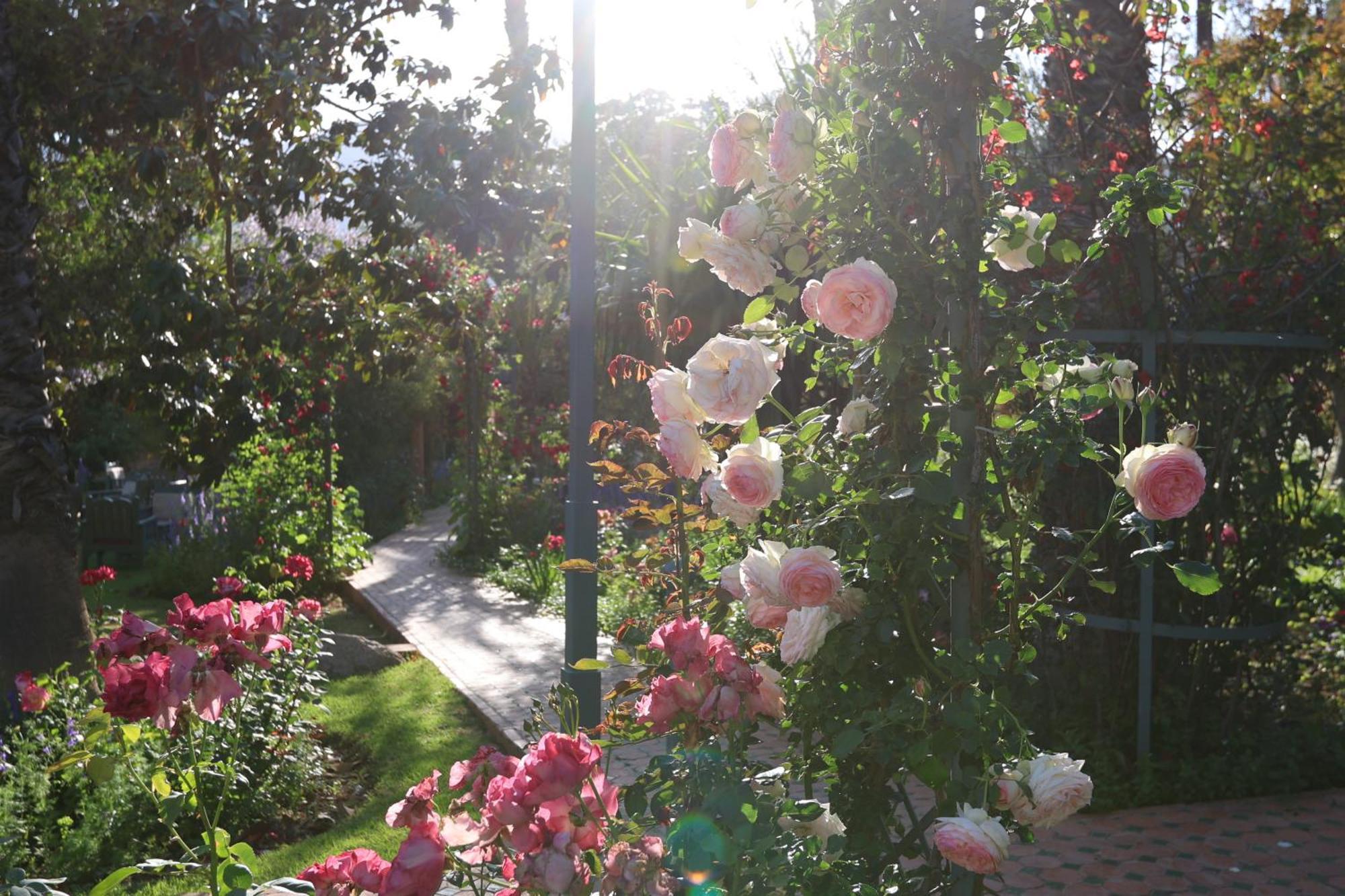 Domaine De La Roseraie Resort Ouirgane Esterno foto