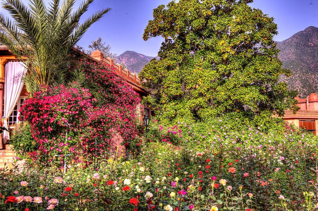 Domaine De La Roseraie Resort Ouirgane Esterno foto