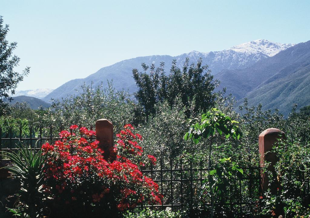 Domaine De La Roseraie Resort Ouirgane Esterno foto